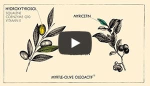 MYRTLE-OLIVE Oléoactif<sup>®</sup>